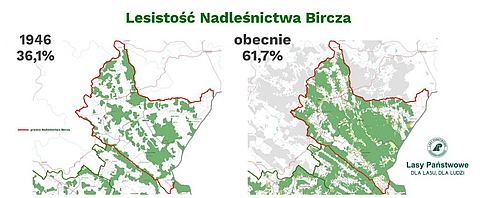 lesistoscnadlesnictwabircza1024x4231.jpg